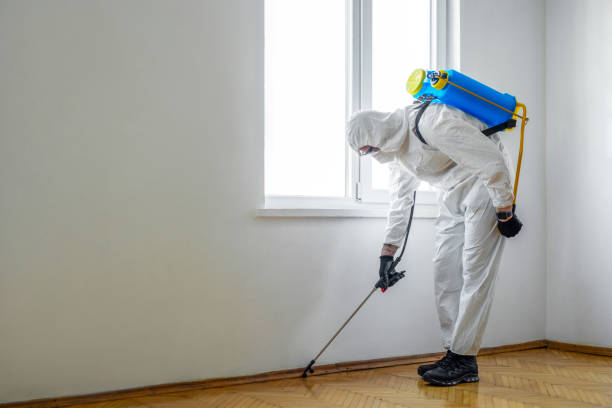 Emergency Pest Control in Mineral Springs, NC